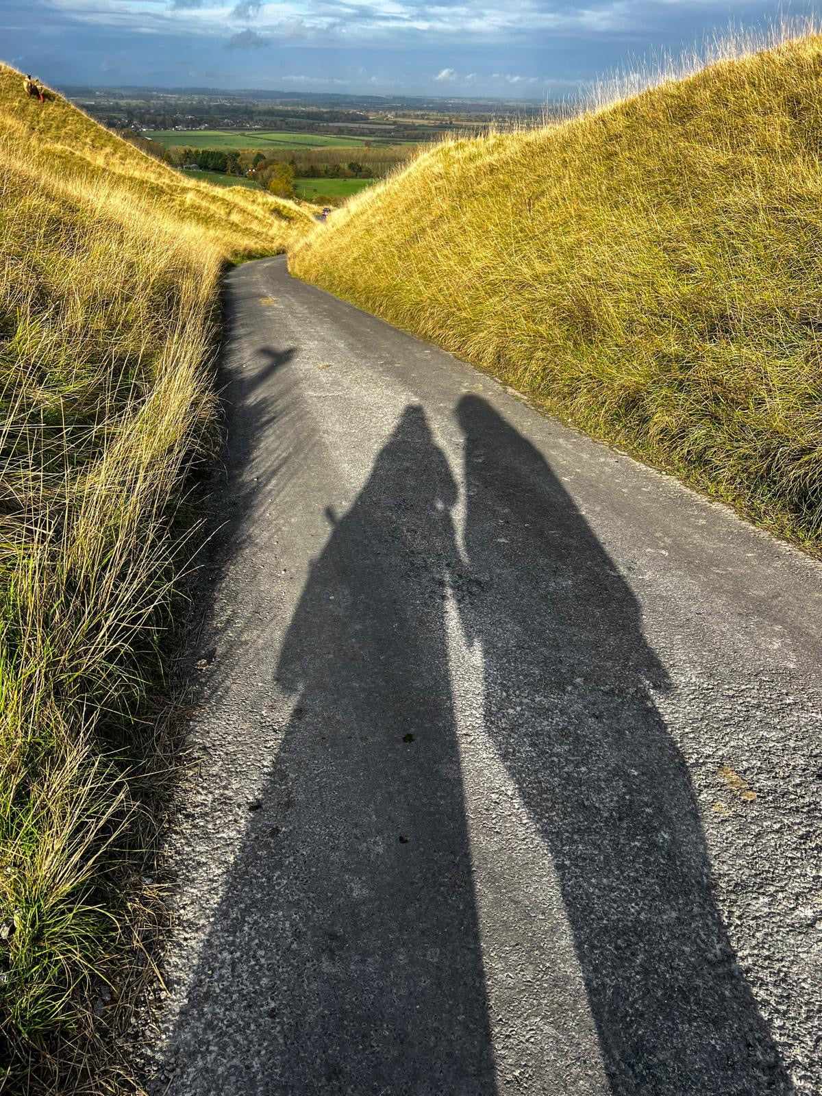 Somatic Therapy and Yoga