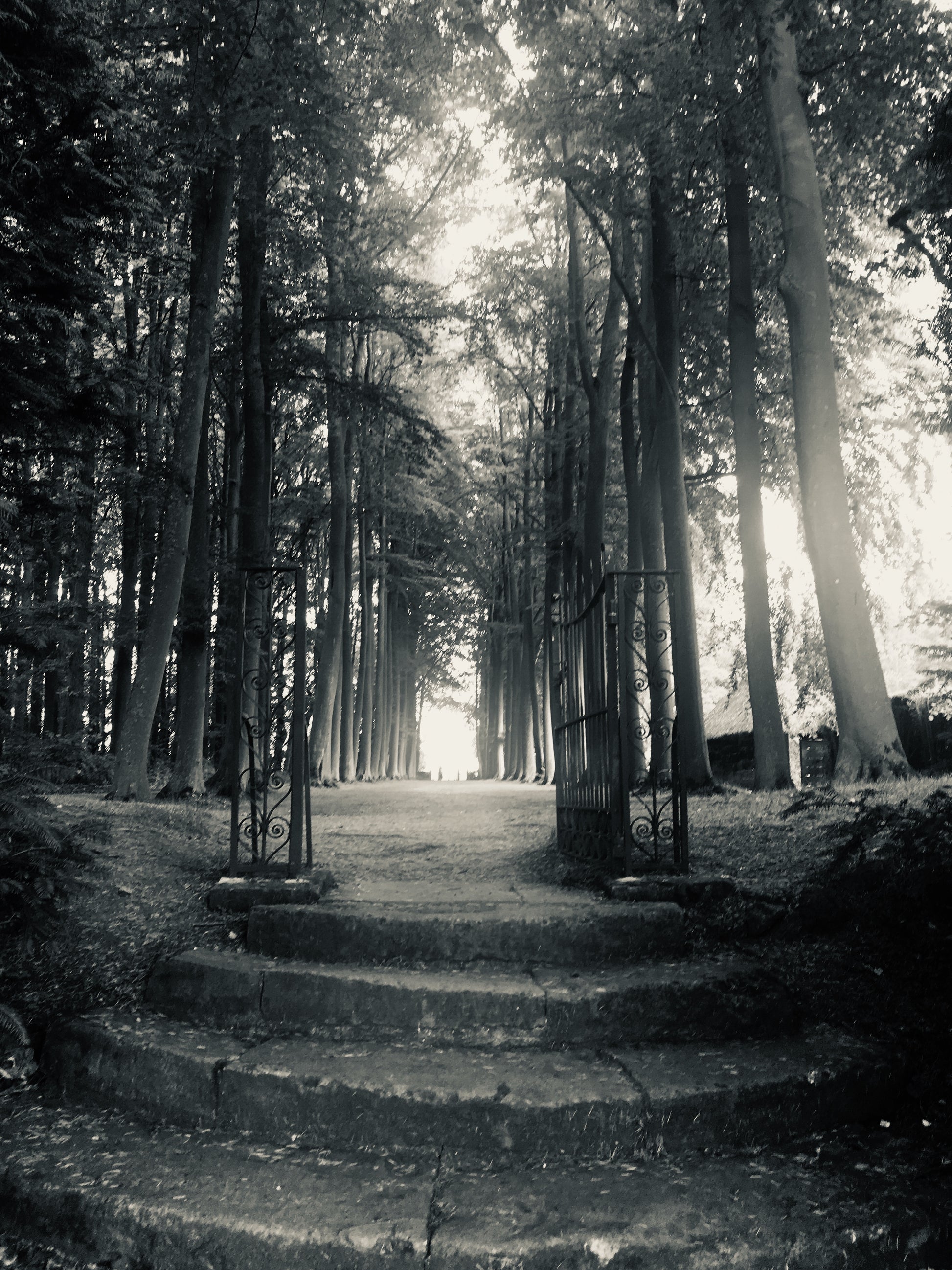 Funerals and Grief Tending Circles