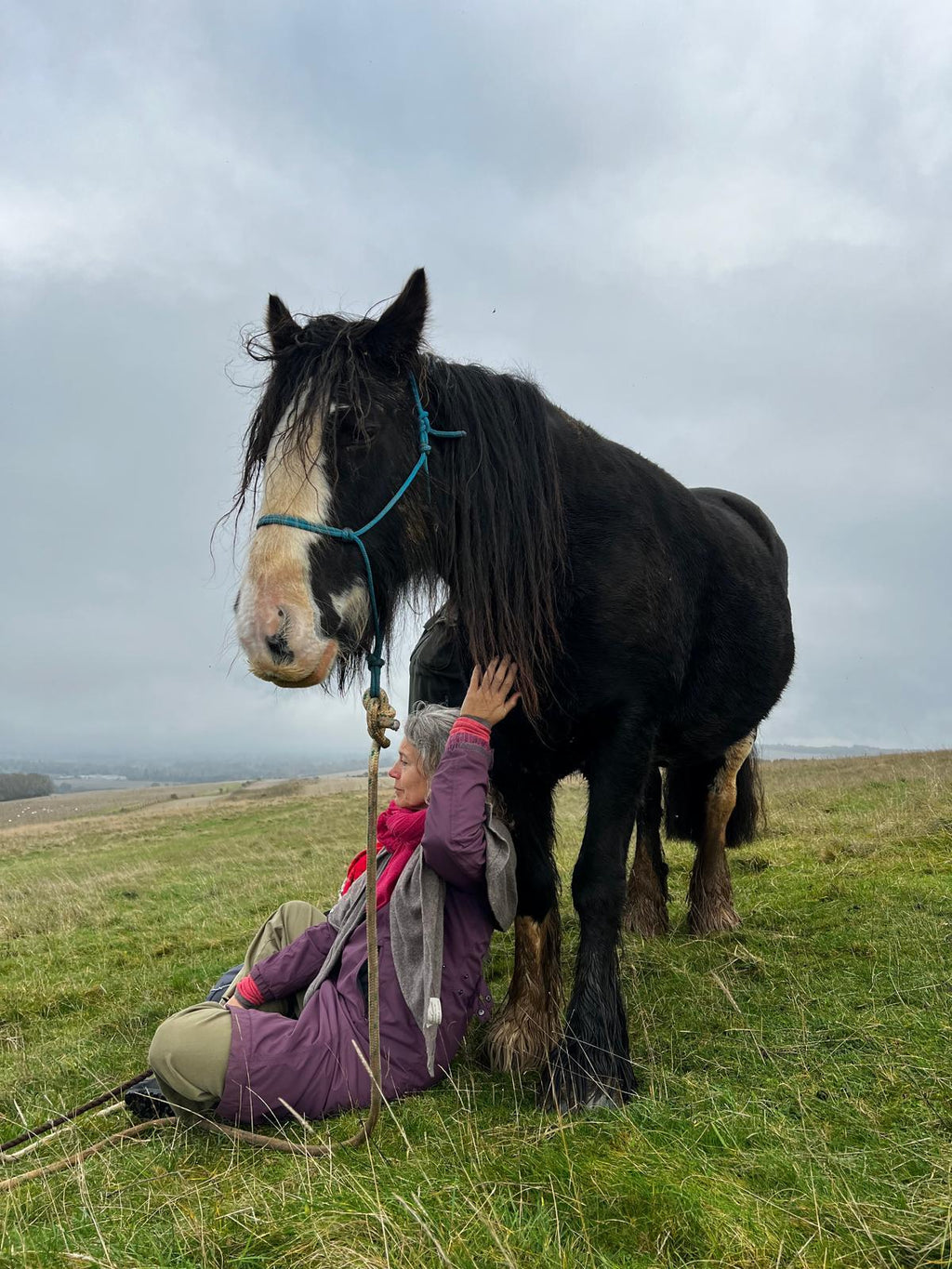Walking with Wisdom - Rewilding the Soul Through Mythic Landscape with Horses