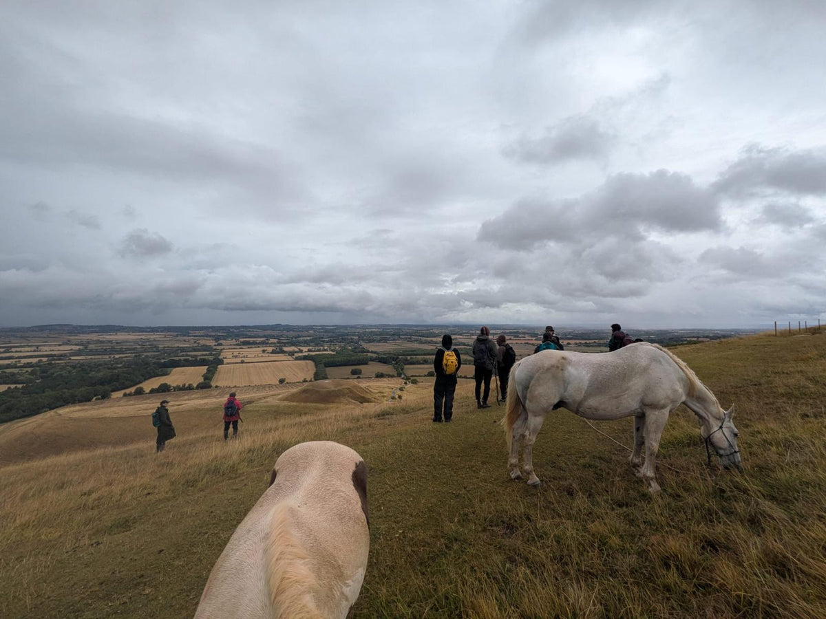 Walking Mythic Landscape with Horses - NEW DATE