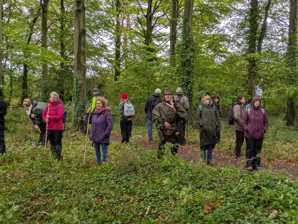 Walking Mythic Landscape with Horses - NEW DATE