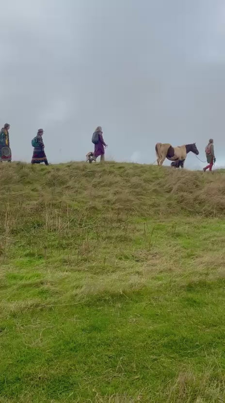 Walking with Wisdom - Rewilding the Soul Through Mythic Landscape with Horses